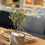 Harmony Luxury Naxos * Kastrákion