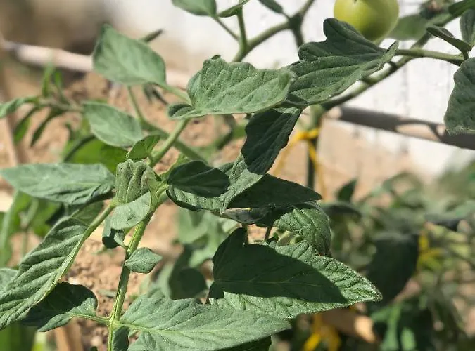 Ferienhaus Harmony Luxury Naxos Kastrákion